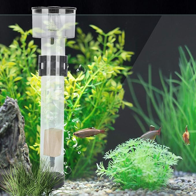 Protein Skimmer Aquarium Filters Acrylic Fish Tank Filter Separator with IQ5 Aquarium Filter Accessory