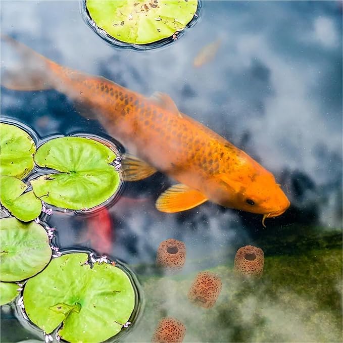50Pcs Aquatic Plant Fixed Rings Biodegradable Ceramic Gravity Ring for Water Plants Fixing No Sand Needed Aquarium Landscaping