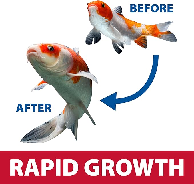 The Pond Guy Growth & Vibrance Fish Food for Show Quality Koi & Goldfish, Premium Protein Floating Pellets for Balanced Nutrition, 5 lbs