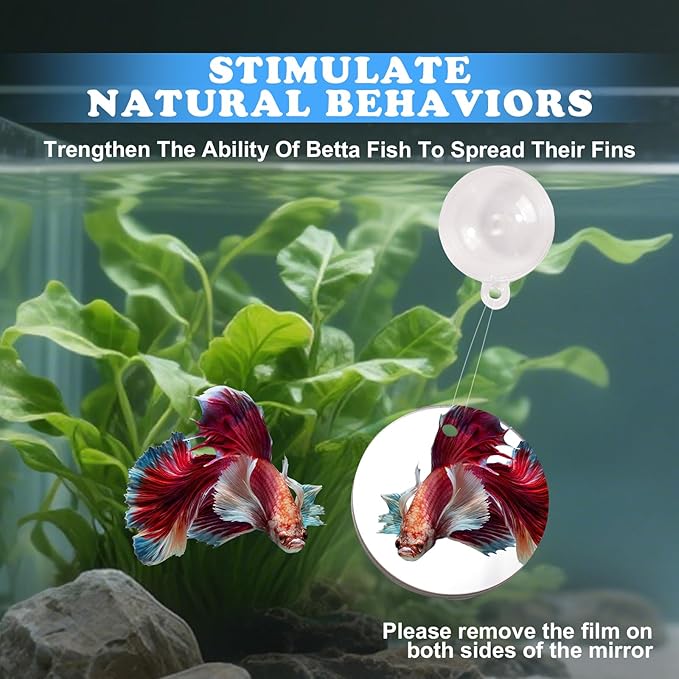 Betta Fish Toys, 2 PCS Fish Exercise Ring and Nitrifying Balls Set, Betta Mirror Toy Set, Feeding Ring with Suction Cup, Fishing Tank Accessories for Gifts (Clear)