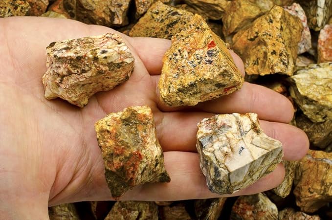 Fantasia Materials: 5 lbs Landscape Jasper Rough Stones from India