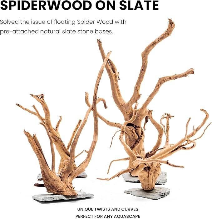 Ultum Nature Systems Driftwood - Spider Wood on Slate Stone for Fish Tank, Planted Tank, Terriarium, Paludarium - Versatile Natural Driftwood Decor - Spider Wood on Slate Stone, Small (7-12")