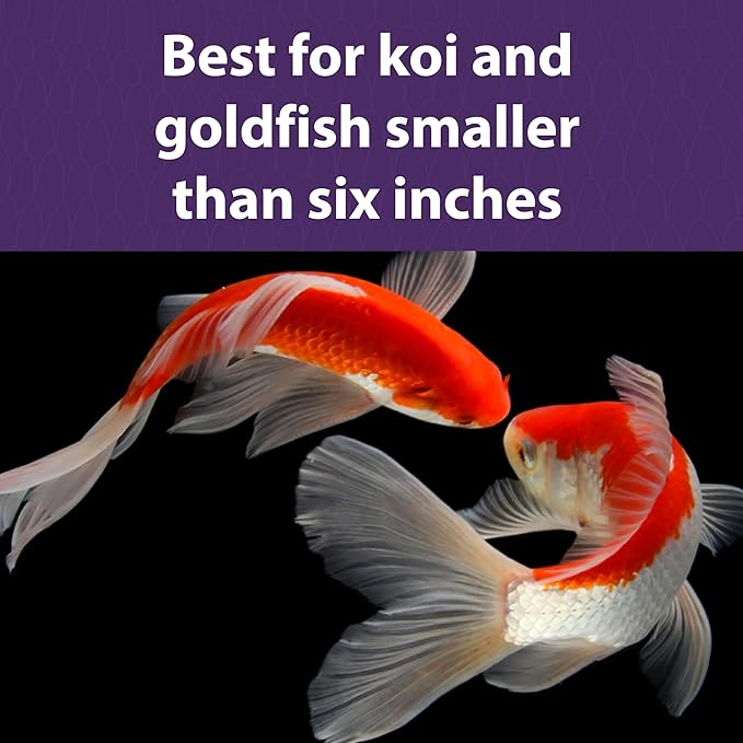 Mazuri Koi | Platinum Bits Nutritionally Complete Koi Fish Food | for Small Koi - 20 Pound (20 lb.) Bag