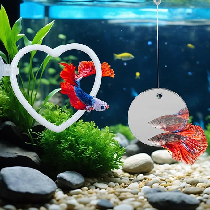 Beta Fish Aquariums Accessories, 1 Mirror with Floating Ball & 2 Exercise Training Ring Toys, Fish Feeding Ring, Betta Fish Toys Set for Tank, Enrichment Toys for Fish (Heart Shape)