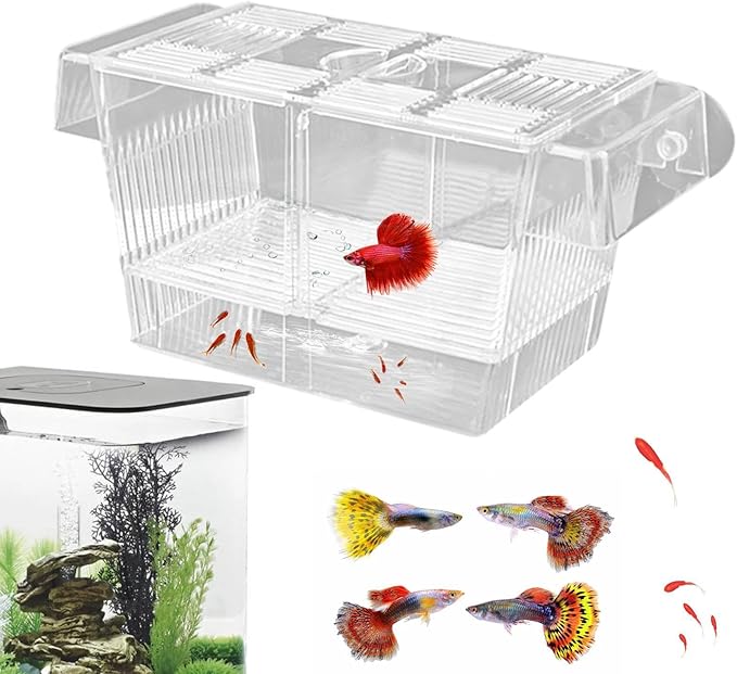 Fish Breeding Box - Fish Tank Divider Acclimation Box, Acrylic Hatchery Incubator Fish Tank | Fish Tank Breeder Box, Baby Fish Tank for Baby Fishes, Shrimp, Clownfish, Guppy, Aggressive Fishes