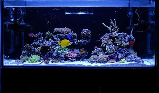 Aquarium Hood Lighting Fish Tank Light 48-60 inch Lamp for Freshwater Saltwater Marine Blue and White Decorations Light 120-150 cm