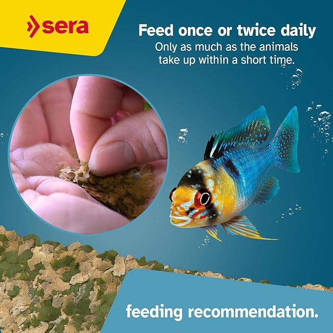 Sera Vipan Tropical Flakes 100 ml 0.7 oz (22 g) | Floating Fishfood with 4% Insect Protein & Probiotics | Aquarium Fish Food for Freshwater Aquariums