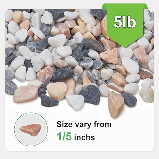 Pulovin 5 lbs Small Rocks for Plants, 1/5 Inch Pebbles for Indoor Plants, Natural Decorative Pea Gravel for Aquarium, Fish Tank, Terrarium, Succulents, Bamboo Plants, Vases, Cactus, Crafts
