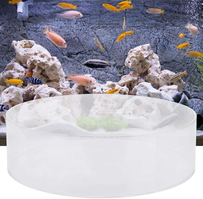 Tnfeeon Fish Acrylic Observe Lense Viewer Aquarium Fish Photograph Cylinder Magnifier