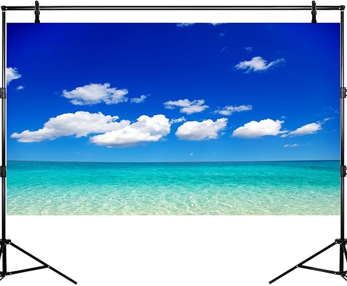 Ocean Sea Fish Tank Background Tropical Paradise Ocean Aquarium Background Sunny Seascape Terrarium Backgrounds Sunny Blue Sky Cloudy Seacoast Sandbeach Sea Waves Reptile Tank Backgrounds 24x12in