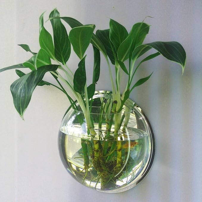 YUHOME Home Decoration Wall Mount Fish Tanks Goldfish Bowl Acrylic Hanging Aquariums Flowerpot Flower Vase, 150mm diameter & type 1