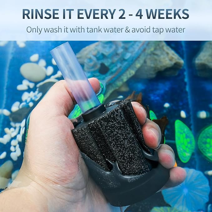 Pawfly Aquarium Sponge Filter, Small Fish Foam Filter with Tubing Suction Cup Check Valve Connector and Control Valve Accessories for Betta Fry Shrimp Tiny Fish Tank up to 10 Gallons