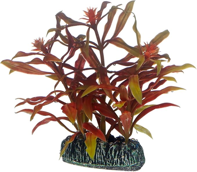 Hobby 51569 Nesaea 7 cm