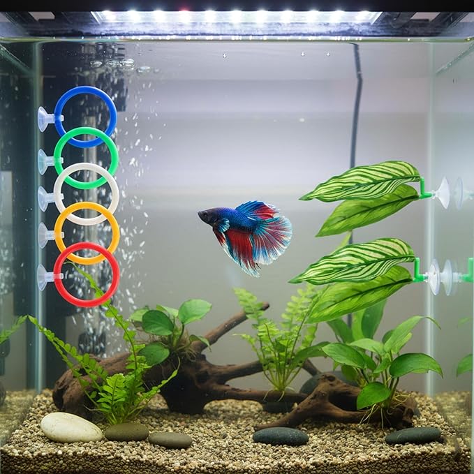 Betta Fish Toys, 13 Piece Betta Toys Set with Five Resting Leaves and Three Floating Balls, Colorful Hoops in Blue Green Yellow White Red, Enrichment Activities for Betta Fish