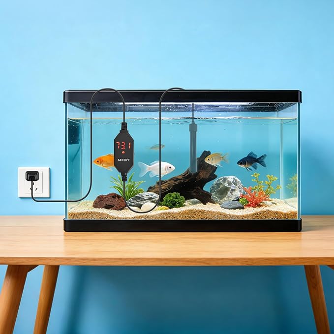 YOFOTHS Mini Aquarium Heater Alumina Ceramic, USB 10W Digital Display Thermostat, Compact Thumb-Size Fish Tank Heater with Temperature Control, Black, for 1 Gallon Betta Tanks (USB10W)