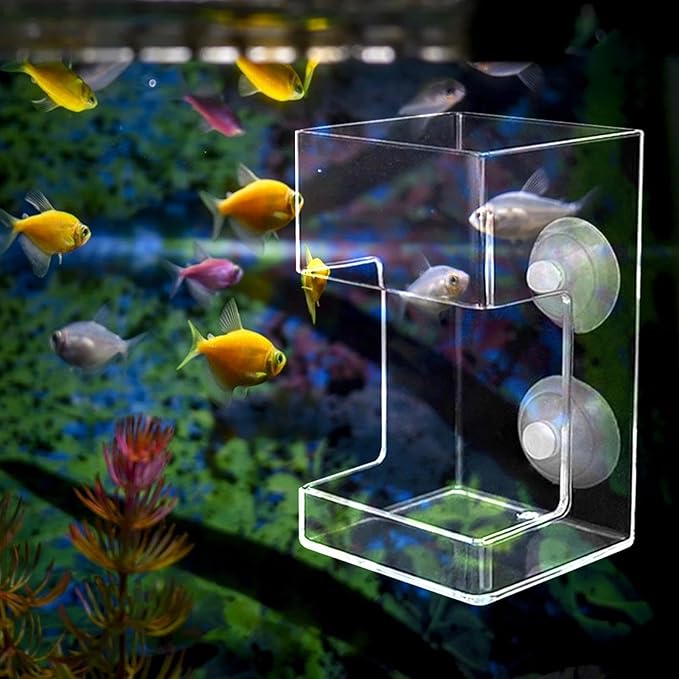 Fish Feeder Acrylic Worm Feeder Artemia Clear Floating Fish Tank Dish Tray Shrimp Feeder Dwarf Shrimp Golden Fish Betta Fish, Cuboid