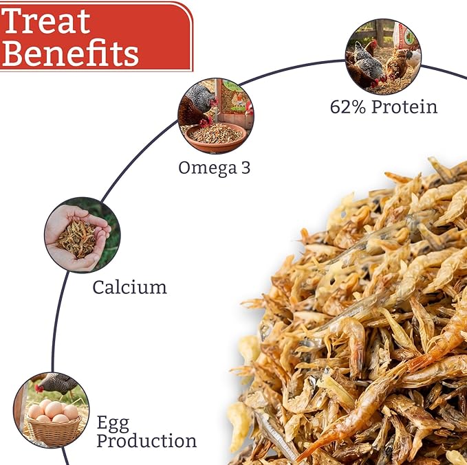 Fish & Shrimp Chicken Treats with Dried Shrimp and Freeze Dried Minnows, High Protein Chicken Snacks with Omega 3 and Calcium for Chickens and Ducks - 1 lb