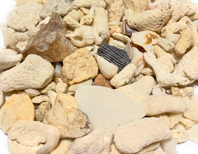 Middle Keys Marine Life LLC Florida Keys Crushed Coral Aquarium Gravel 2.5 LB (~70 in3) for Aquariums, Terrariums, Vases, Landscaping, Bonsai, School Projects, Shell ID, Bio-Filtration