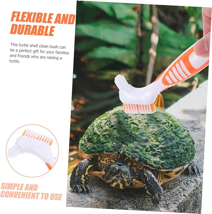 2Pcs Turtle Shell Cleaning Brush Aquatic Tortoise Shell Mud Brush Multi-Functional Double-Sided Brushes for Household Cleaning