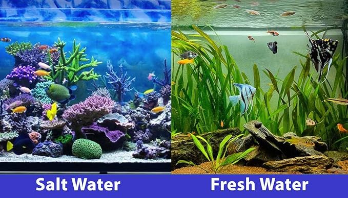 SICCE Nano Micron Small Internal Aquarium Filter 53 GPH Submersible | in-Tank Freshwater Saltwater Turtle Aquariums Application with Removable Filter Sponge