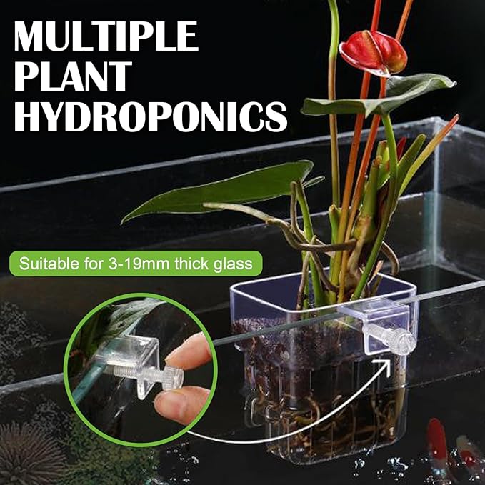12 Pack Top Hanging Fish Tank Plant Pot Clear Aquarium Plant Holder with Hook Aquatic Plant Cup Holder Aquarium Aquatic P-lant Pot Water Landscape Decoration for P-lant Water Feature Decoration