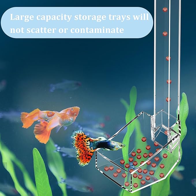 Aquarium Fish Shrimp Feeding Dish Set Clear Fish Feeder Tube and Dish with Cleaning Brush and Measuring Spoon for Feeding Shrimp and Preventing Food Scattering Feeding Supplies for Shrimp Large