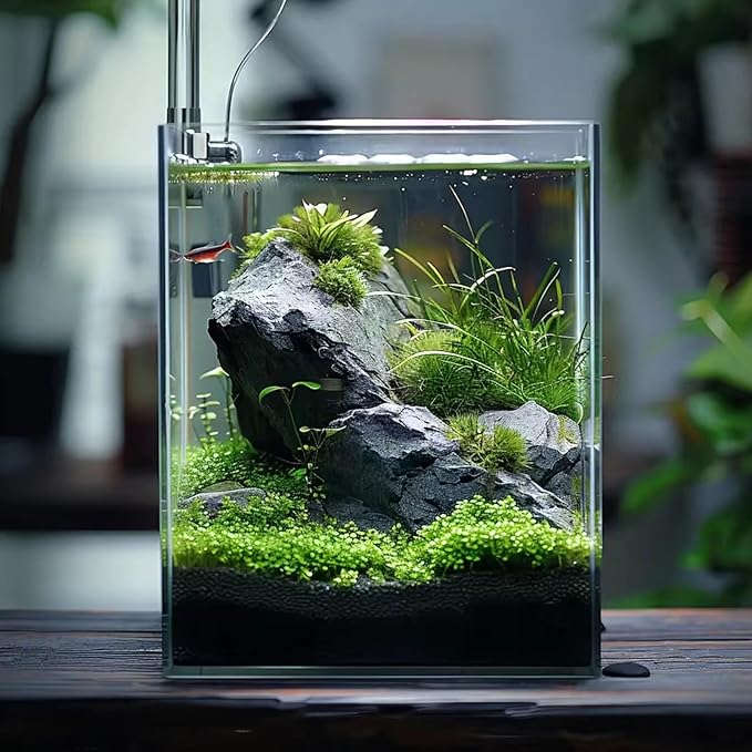 Vimvins 3 Gallon Glass Fish Tank, Easy to Maintain Small Aquarium for Betta/Snails/Shrimp and Aquatic Planting.