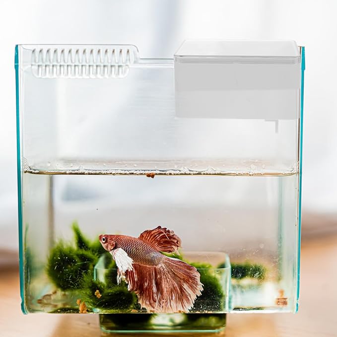 Cabilock Mini Automatic Fish Feeder with Intelligent Timer, Plastic Aquarium Food Dispenser for Small Tanks, Sealed Design Suitable for Vacation Feeding and Daily Aquarium Use