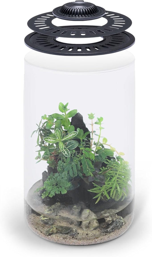 SubstrateSource Bio Cylinder - Glass Plant Terrarium Kit - Glass Terrarium w/LED Grow Light, Adjustable Ventilation Lid, Substrate, Moss & Accent Rocks - Bio Cylinder 150