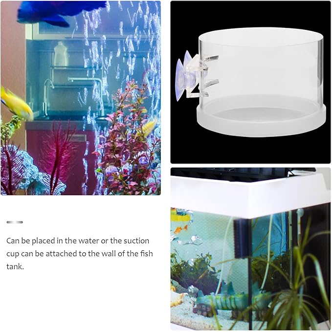 FRCOLOR Fish Tank Feeding Ring Aquarium Feeder with Large Suction Cup, Acrylic Fish Food Feeder Tool for Convenient Automatic Feeding in Home Aquariums