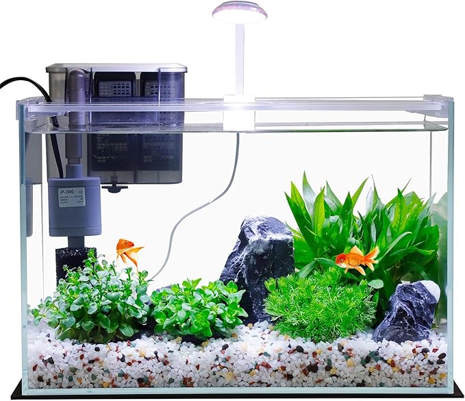 Vimvins 5 Gallon Glass Small Fish Tank with Filter Light and Lid, Betta Aquarium Starter Kits