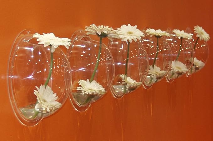 Boom Hemisphere Wall-Mount Fish Bowl, Clear