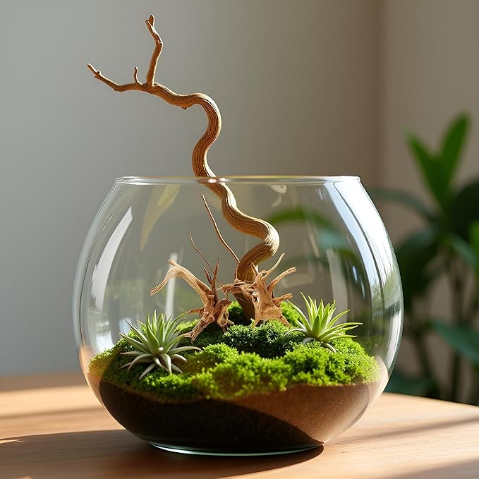 2Pcs Aquarium Driftwood Branches Natural Wood Reptiles Trunk Wood Fish Tank Decoration Plant Stump Ornament Landscaping, Fish Tank Decoration, 8-10cm