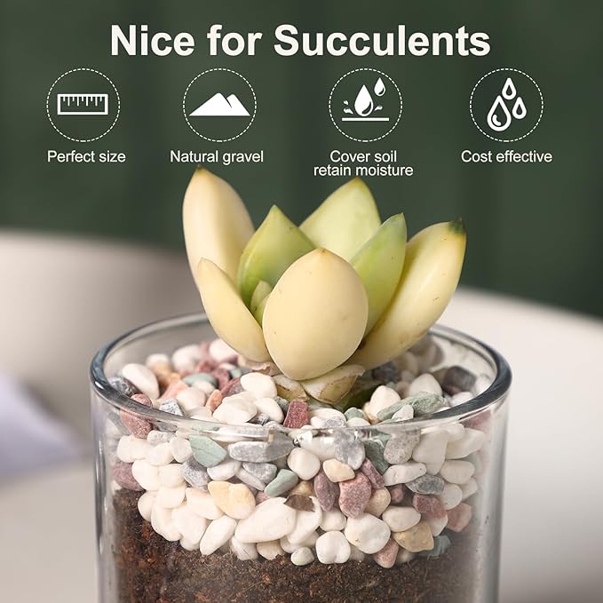 5LB River Rocks for Fish Tanks 1/8-3/8inch Aquarium Gravel Small Rocks for Plants Decorative Rocks Mixed Color Vase Fillers Rocks for Crafts Colorful Rocks