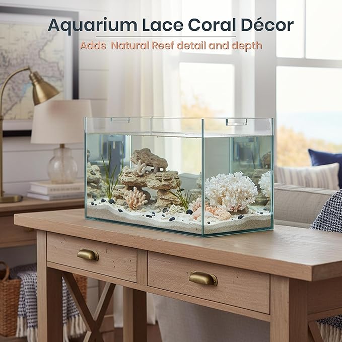White Sea Coral | 4-5" Lace Coral Pocillopora Damicornis | Plus Free Nautical eBook by Joseph Rains