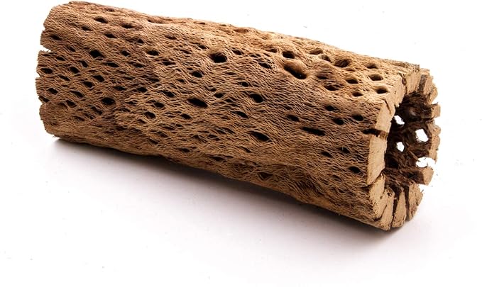 3 to 48 Inch All Natural Teddy Bear Cholla Wood Extra Hollow Large Untreated Organic Aquarium Driftwood Decoration Chew Toy Shrimp Crab Multi-Quantity