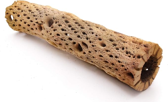 3, 6, 9, 12 Inch All Natural Teddy Bear Cholla Wood Extra Hollow Untreated Organic Aquarium Driftwood Decoration Chew Toy Shrimp Crab Cichlid Nano Tank Birds 1 or 5 Pieces (1 Piece, 12 inch)