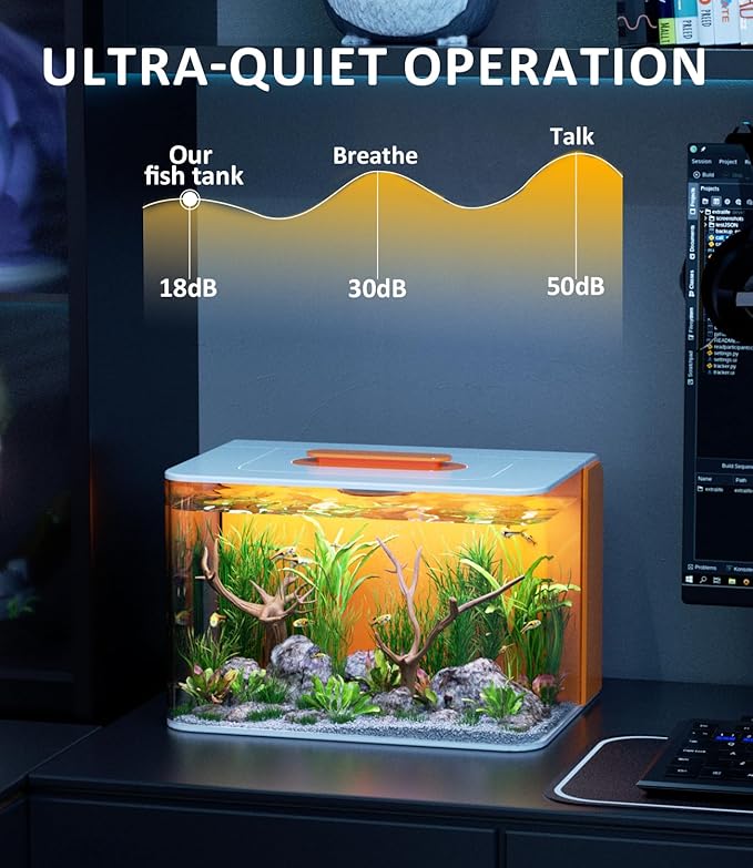 Betta Fish Tank Kit 2.5 Gallon Aquarium with Hidden Filtration, Light, Lid, Small Acrylic Tank for Beta, Shrimp, Guppy