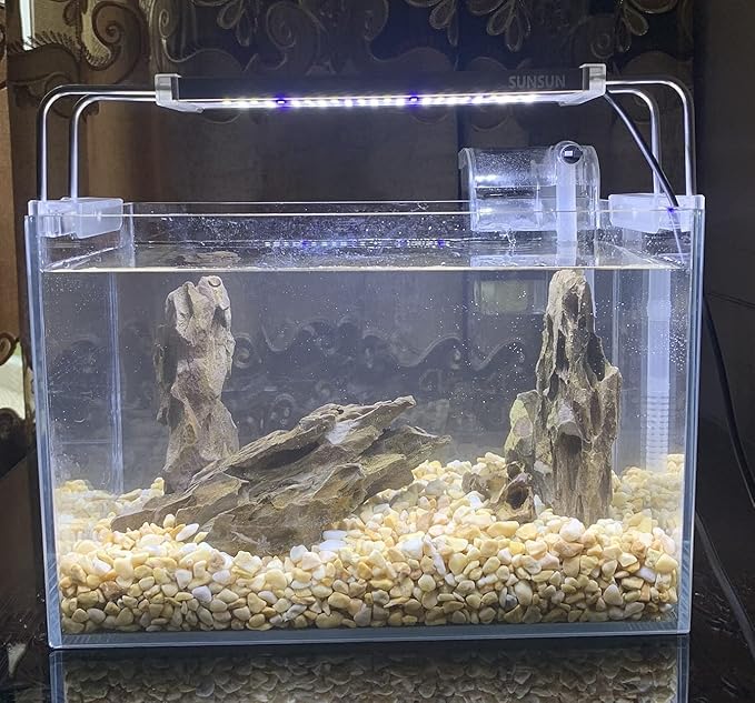 AWXZOM Natural Dragon Rock Carefully Selected Mixed Sizes, Decorative Aquarium Rocks, Aquarium Stones for Fish Tank (4.4lb)