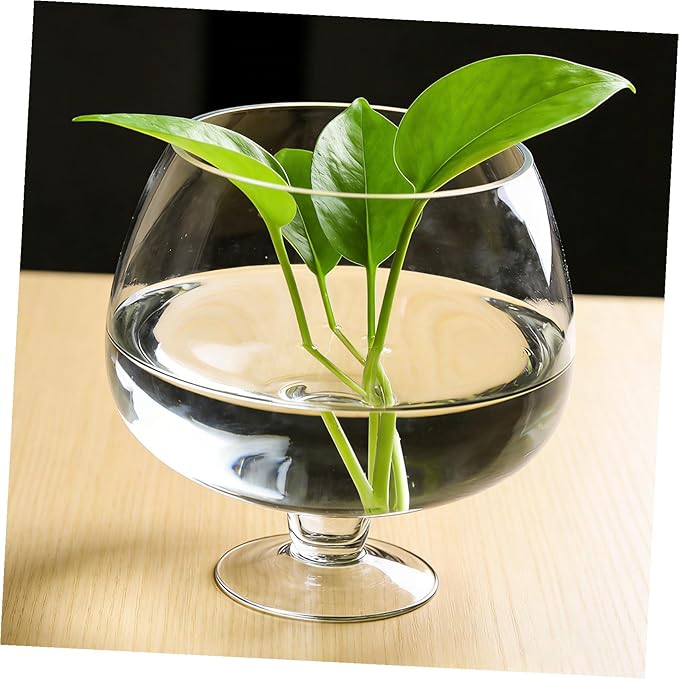 Transparent Glass Fish Bowl Vase, Multi-Function Betta Tank, Desktop Goldfish Aquarium, Hydroponic Plant Pot, Wine Glass Shape, Home Office Decor