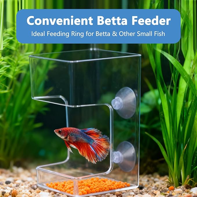 Square Fish Feeder Box No Mess Aquarium Food Catcher Tank Accessories Feeding Tube Holder for Betta Fish Blood Worm Food Box for Turtle Tank and Aquarium Feeding Control