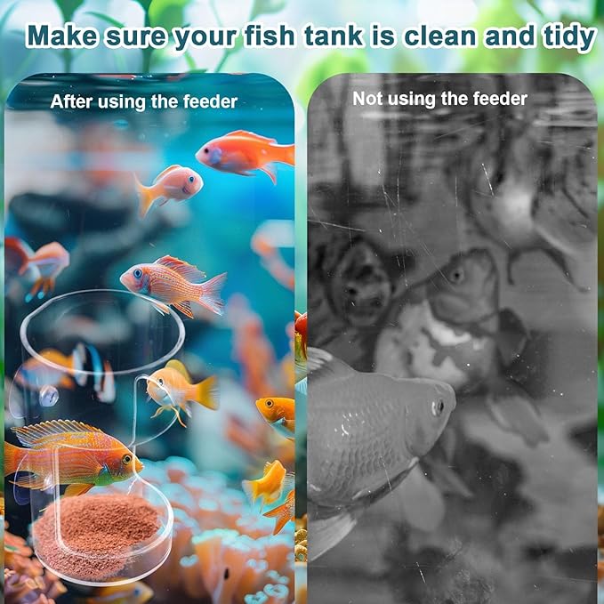 2pcs Fish Tank Feeding Trays, Plastic Transparent Round & Square Feeder Box with 4 Suction Cups Practical Accessories Supplies for Fish Tank Aquarium