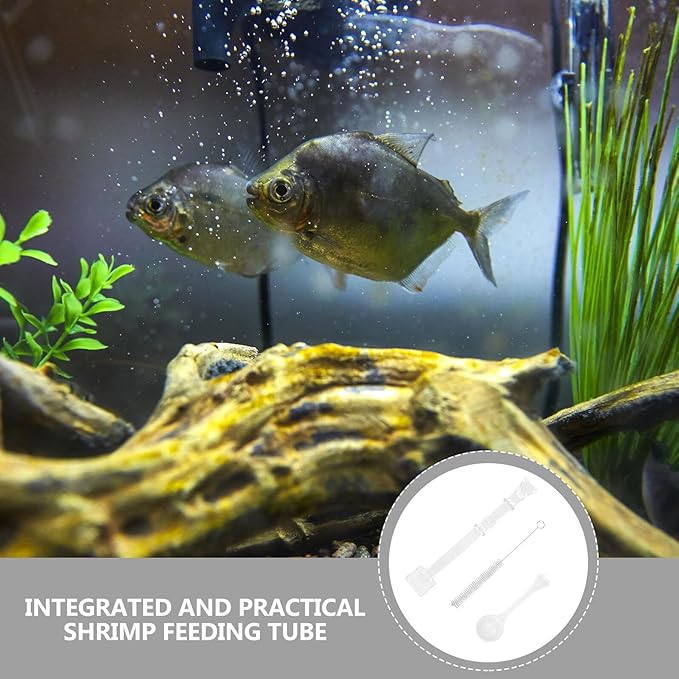 Fish Feeder Tubes 3pcs Aquarium Shrimp Feeding Tool Precise Automatic Feeding for Fish Tanks