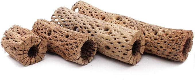 3, 6, 9, 12 Inch All Natural Teddy Bear Cholla Wood Extra Hollow Untreated Organic Aquarium Driftwood Decoration Chew Toy Shrimp Crab Cichlid Nano Tank Birds 1 or 5 Pieces (1 Piece, 12 inch)