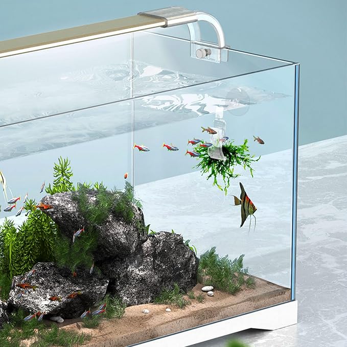 4-Pack Aquarium Feeding Clips – Transparent Veggie & Food Holders with Suction Cups | Tank Mounted Feeder for Fish, Shrimp & Aquatic Pets