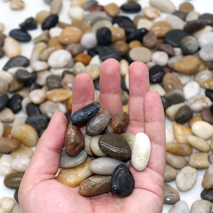 Rocks for Plants. Mixed Color Polished Decorative Pebbles. 0.5 to 1 Inch 18 lbs. for Garden, Landscaping, Indoor, Vase fillers, Crafting, Succulents, pots, Plants