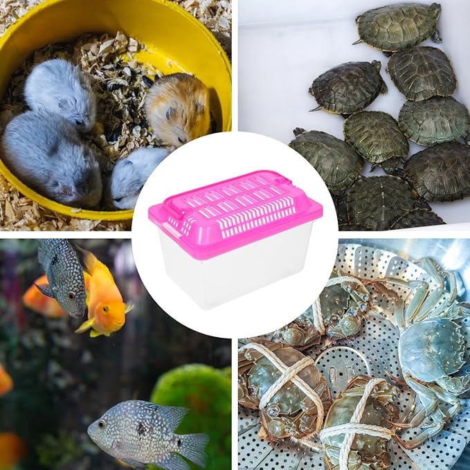 Toddmomy Handheld Transparent Aquarium Portable Plastic Aquarium with Lid for Turtles, Hamsters, and Small Pets (Random Color Lid)