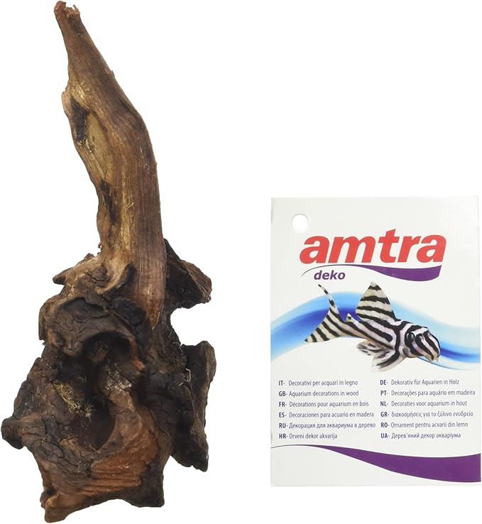 Amtra Mystic Wood, 15-20 cm