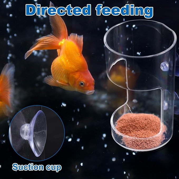 2pcs Fish Feeder for Aquarium, Transparent Fish Tank Dish Tray with Suction Cup Floating & Sinking Food Container Holder Dispenser for Turtle Shrimp Feeding (Circle & Square)