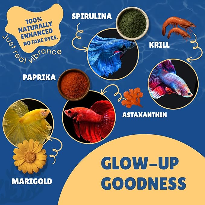Betta Boost Pops | High-Protein Betta Fish Food Pellets Made in USA | Marine & Insect Protein | Floating & Slow-Sinking | Premium Freshwater Aquarium Fish Food 1oz